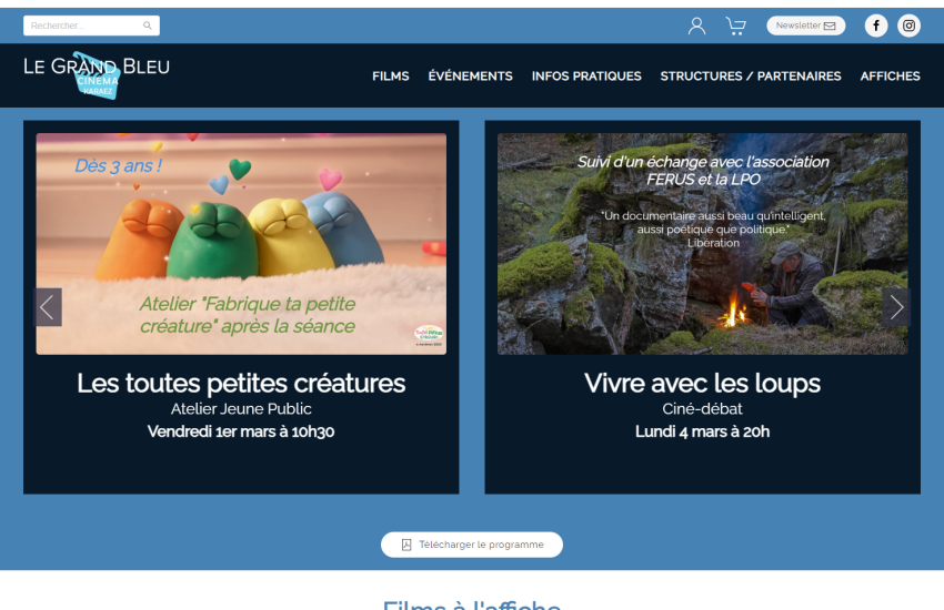 Cinéma Le Grand Bleu